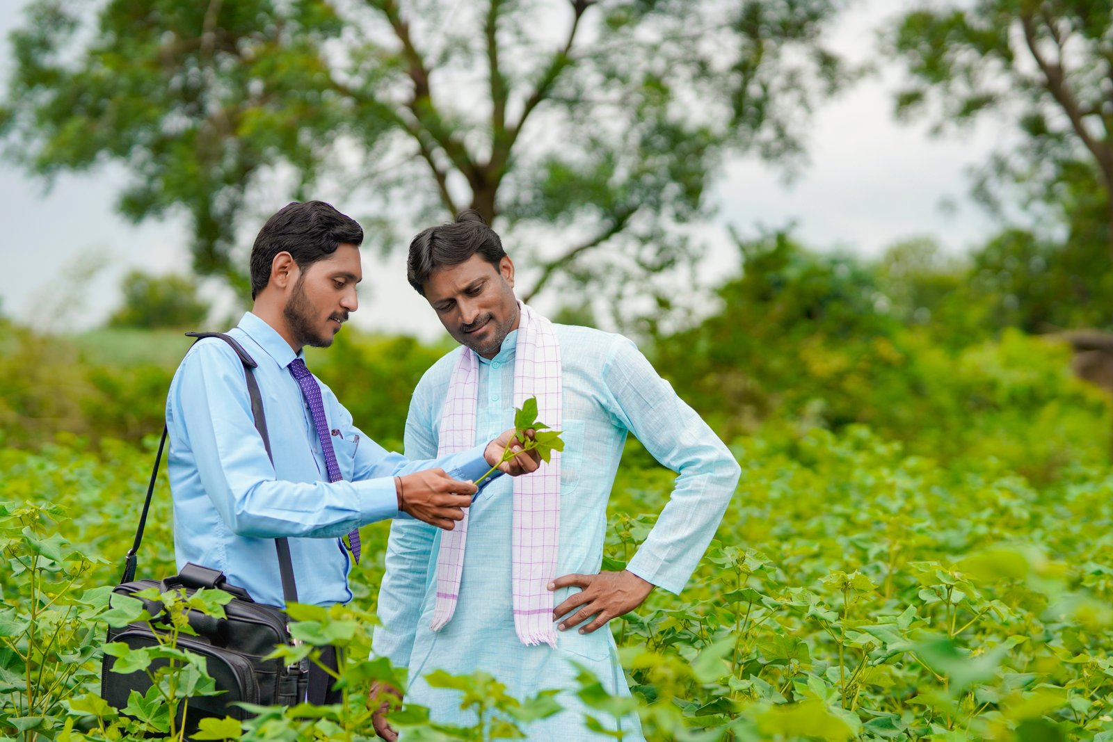 Farm Management